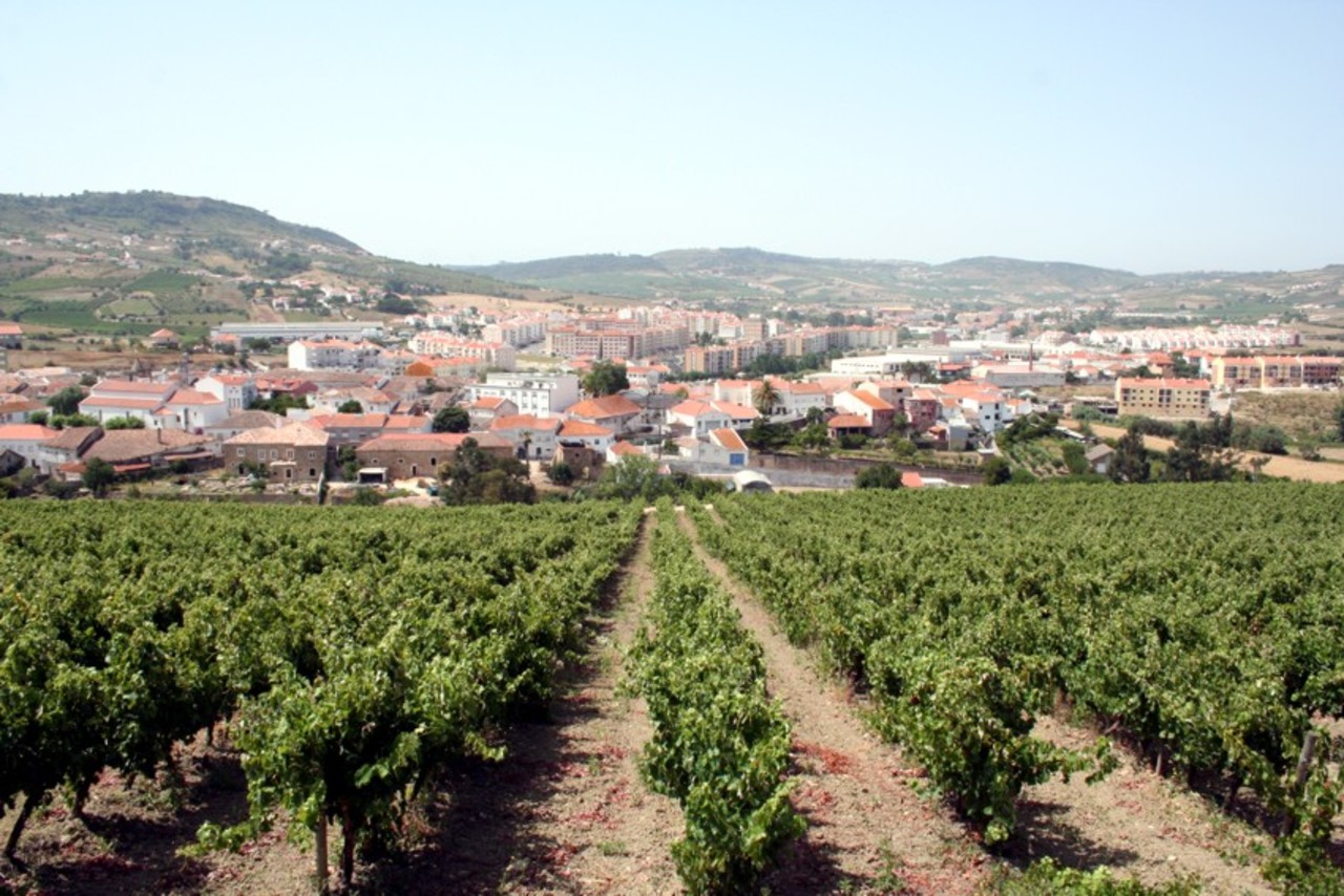 Arruda dos Vinhos