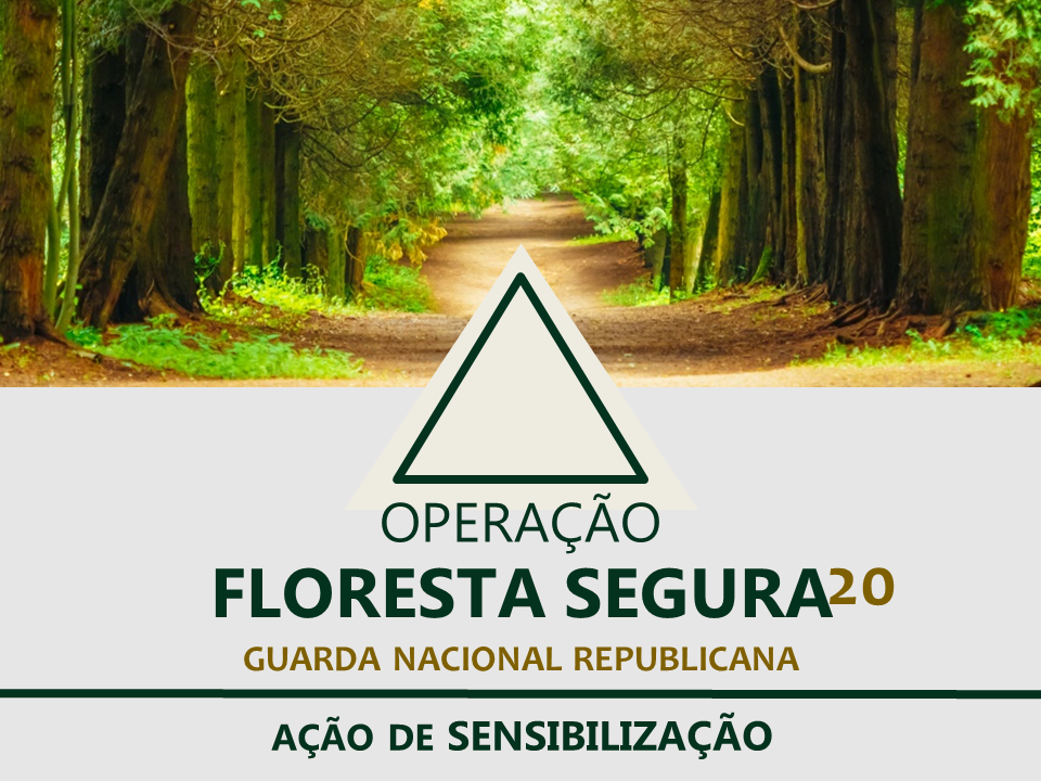 Ações de sensibilização “Floresta Segura 2020”