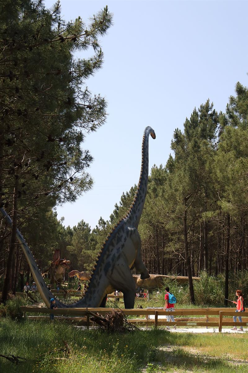 Vila da Lourinhã reçoit les premiers modèles de la Route des Dinosaures à partir de demain