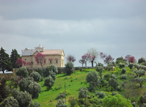 Chapel of N.ª Sr.ª da Conceição