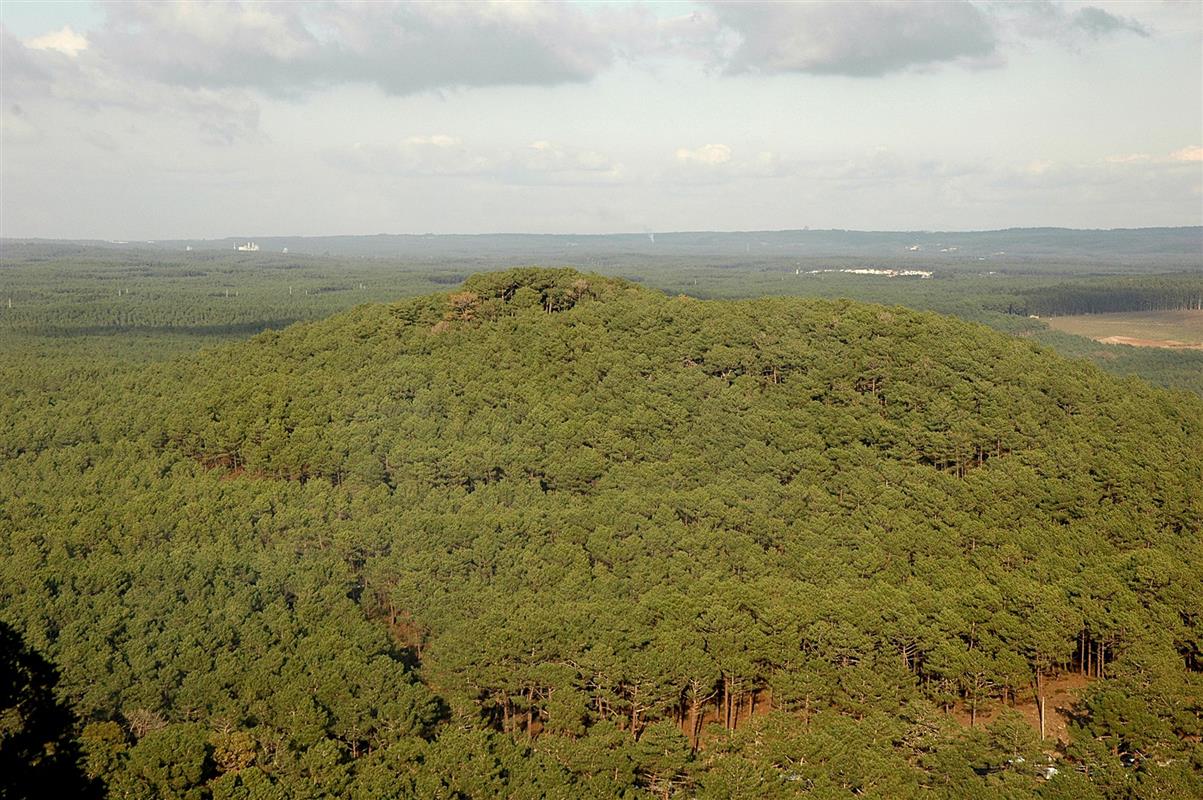 Aguieira Dune