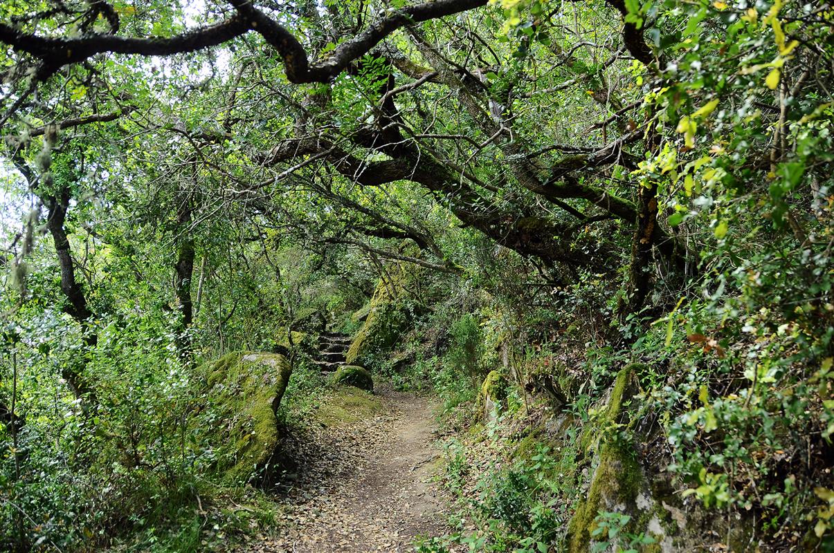 Monte de São Bartolomeu