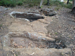 Tombs Of The Surviveean