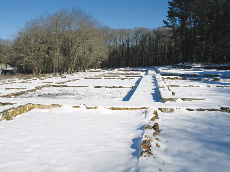 Usine royale de glace