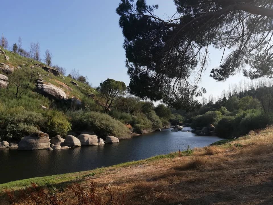 Zona Fluvial da Pena