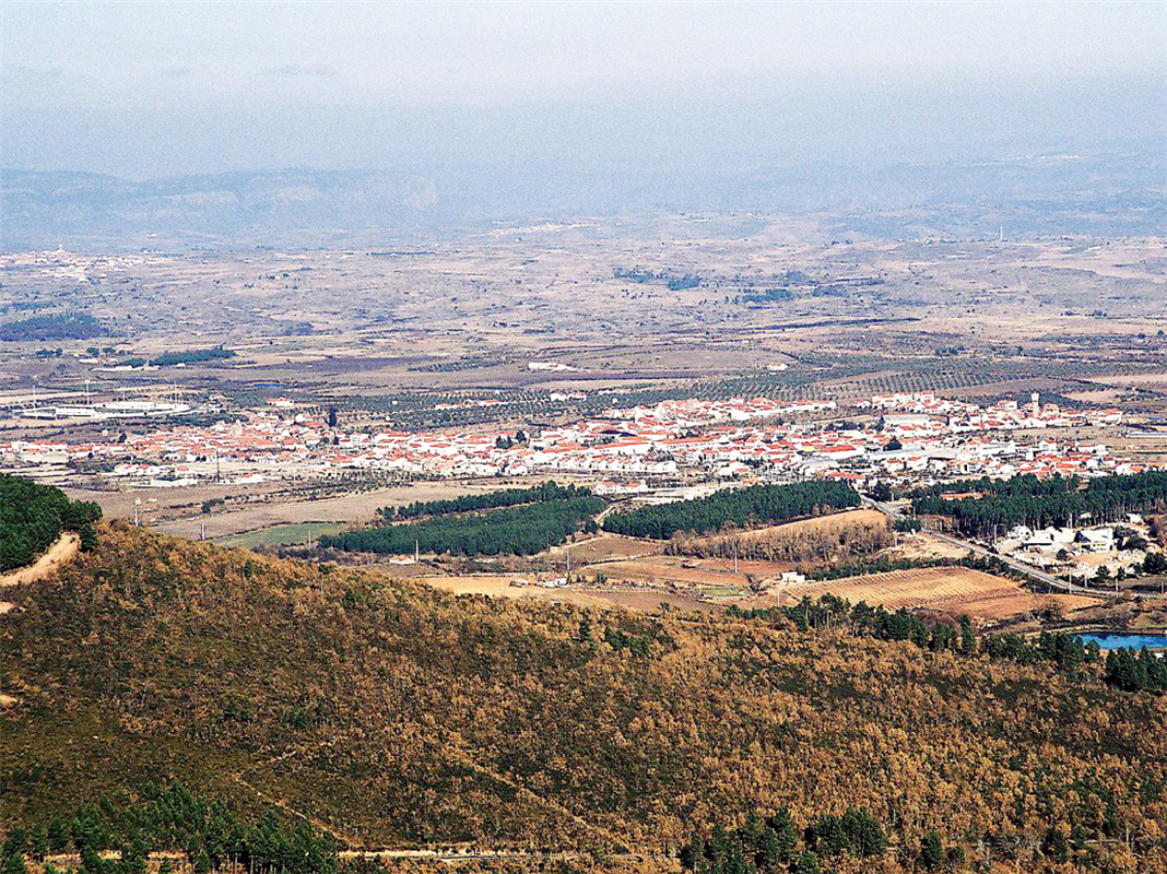 Figueira de Castelo Rodrigo